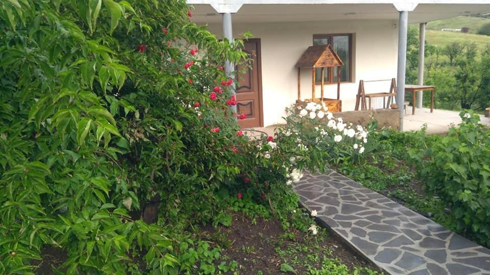 Amoj B&B And Guest House Alaverdi Kültér fotó