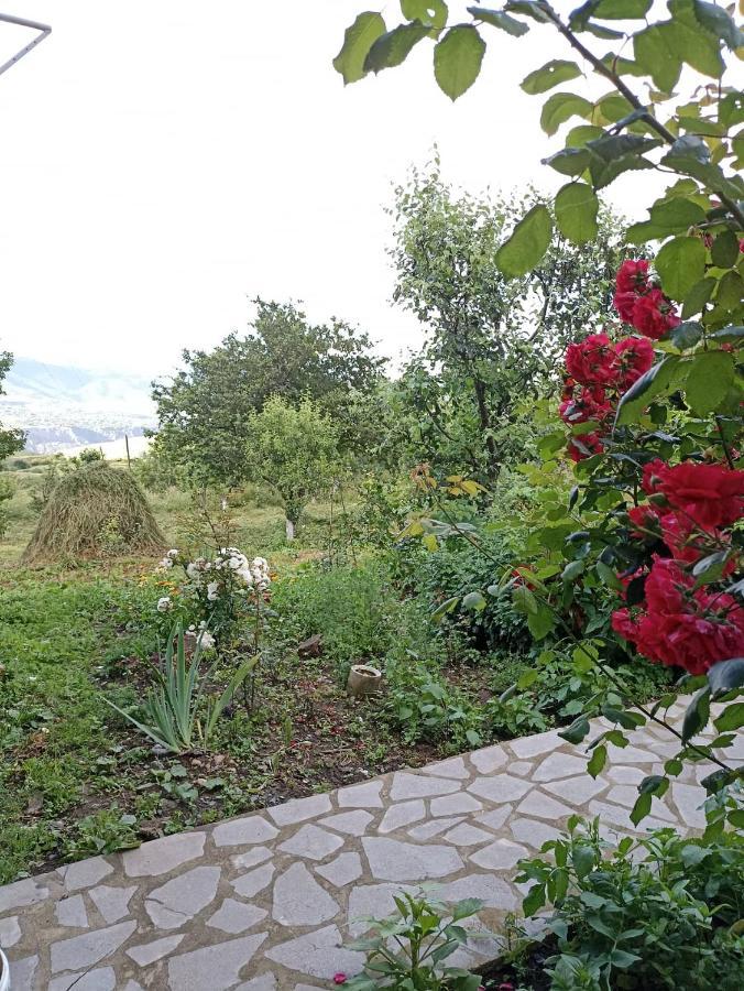 Amoj B&B And Guest House Alaverdi Kültér fotó