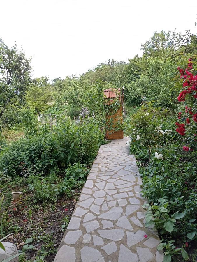 Amoj B&B And Guest House Alaverdi Kültér fotó