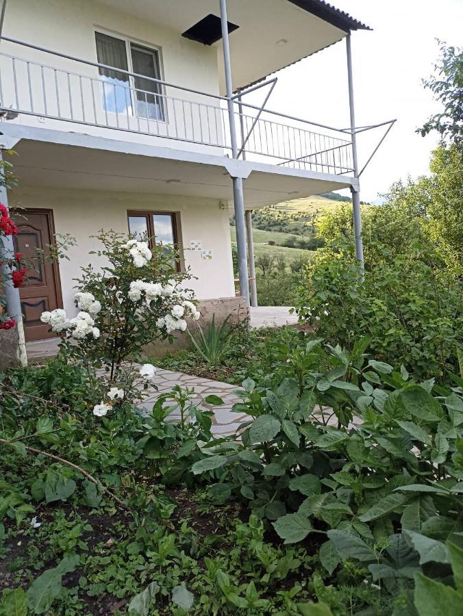 Amoj B&B And Guest House Alaverdi Kültér fotó